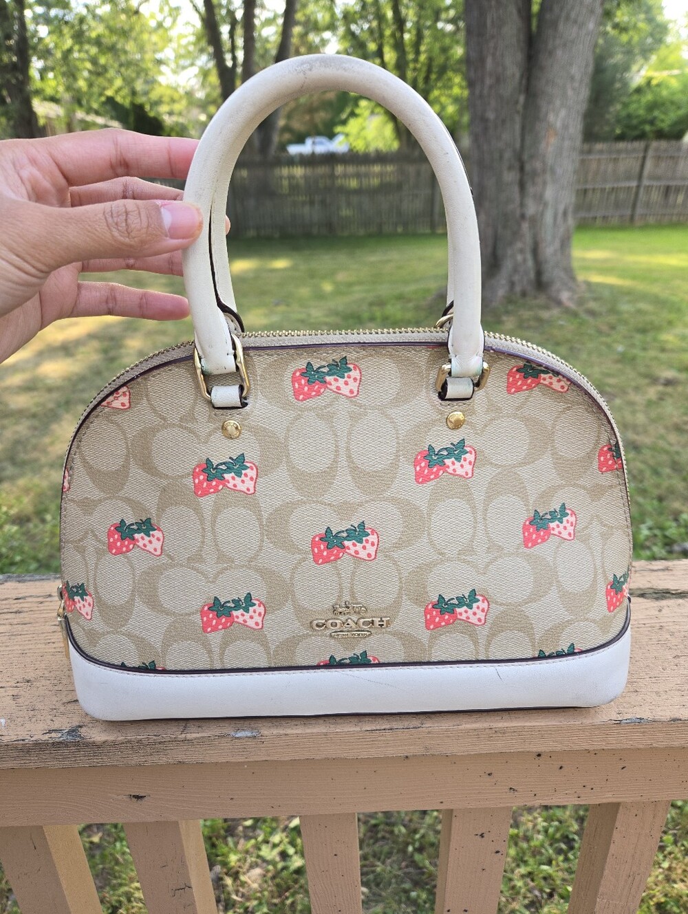 Coach Strawberry Print Mini Satchel Bag #91514